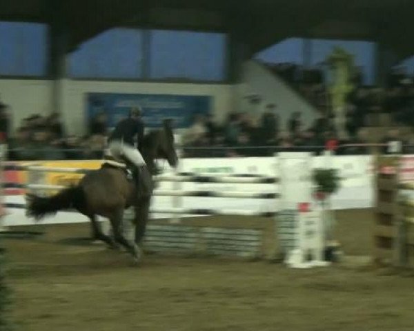 Hippisch Toernooi Borken 2012