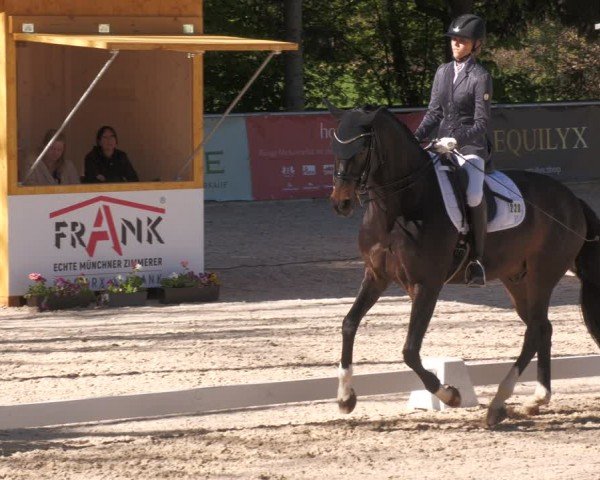 Reitturnier Karlsfeld/Obb. 2024