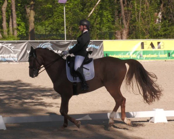Reitturnier Karlsfeld/Obb. 2024