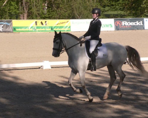 Reitturnier Karlsfeld/Obb. 2024