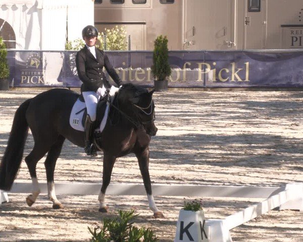 Reitturnier Karlsfeld/Obb. 2024