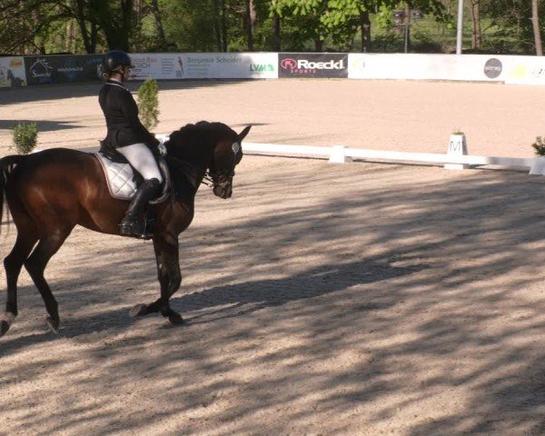 Reitturnier Karlsfeld/Obb. 2024