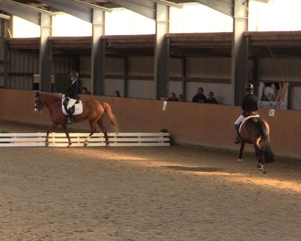 Reitturnier Schlieckau 2024