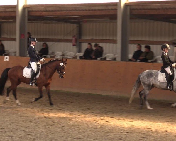 Reitturnier Schlieckau 2024