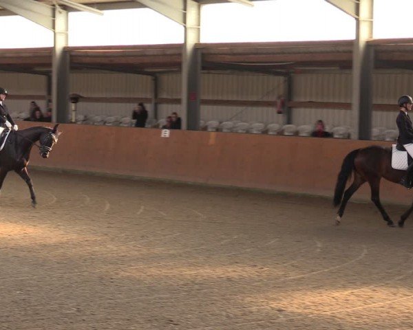 Reitturnier Schlieckau 2024