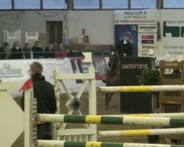 Hallenspringturnier Borken 2012