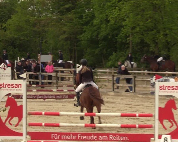 Reitturnier Nienberge 2024