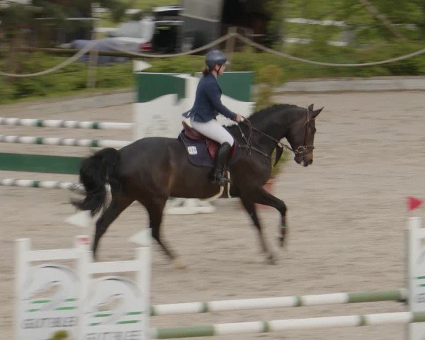 Reitturnier Monheim - Gut Blee 2024