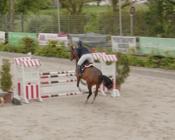 Reitturnier Monheim - Gut Blee 2024