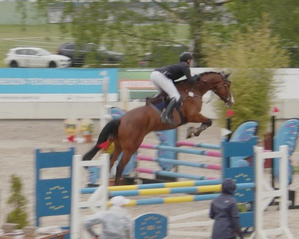 Reitturnier Monheim - Gut Blee 2024