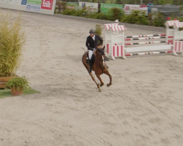 Reitturnier Monheim - Gut Blee 2024