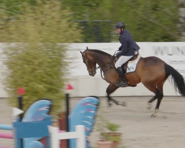 Reitturnier Monheim - Gut Blee 2024