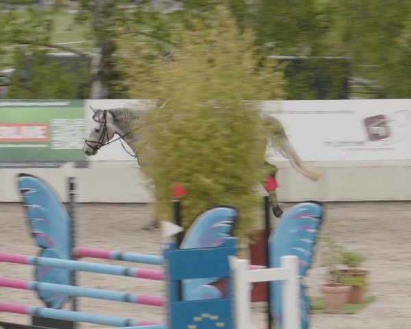 Reitturnier Monheim - Gut Blee 2024
