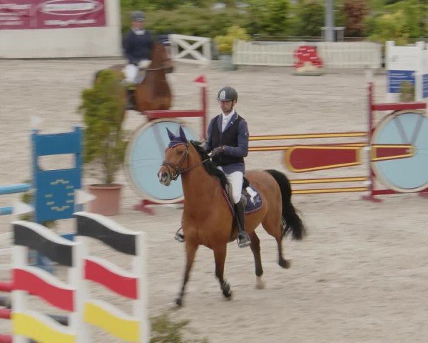 Reitturnier Monheim - Gut Blee 2024