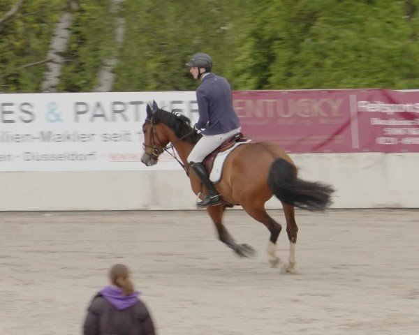 Reitturnier Monheim - Gut Blee 2024