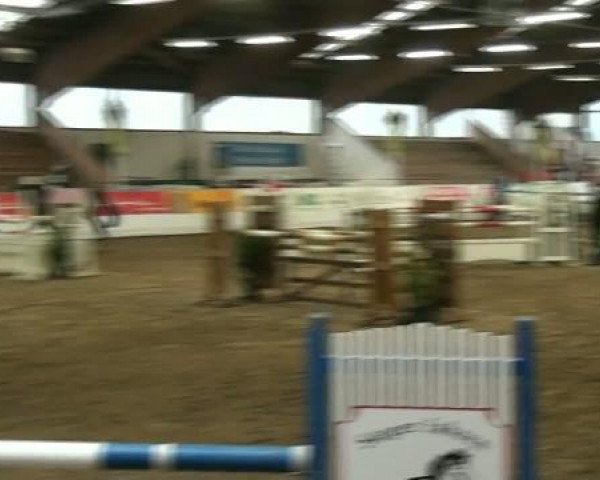 Hallenspringturnier Borken 2012