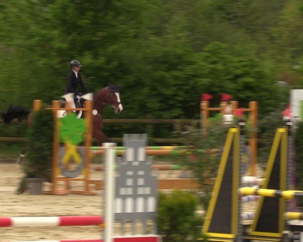 Reitturnier Nienberge 2024