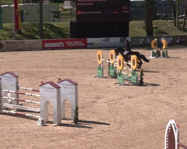 FEI Springturnier Stadl Paura 2024