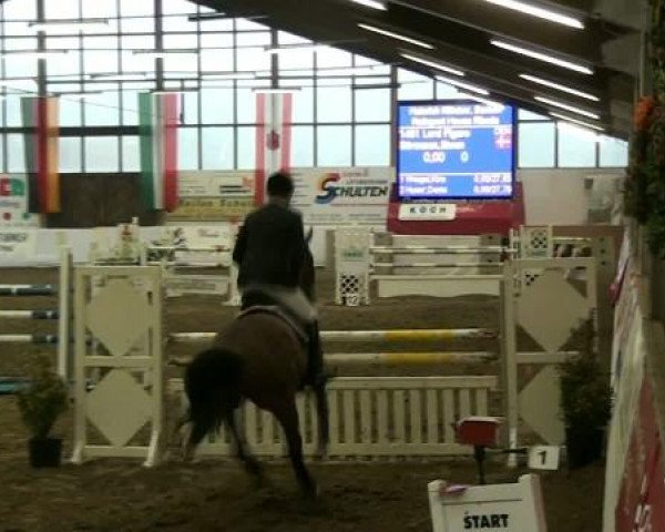Hallenspringturnier Borken 2012