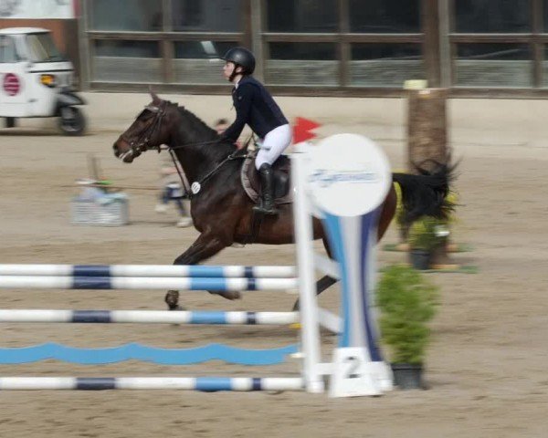 Reitturnier Großostheim/Ufr. 2024