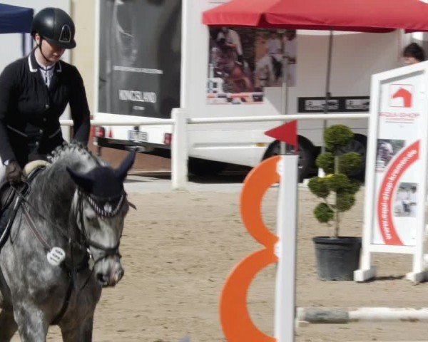 Reitturnier Großostheim/Ufr. 2024