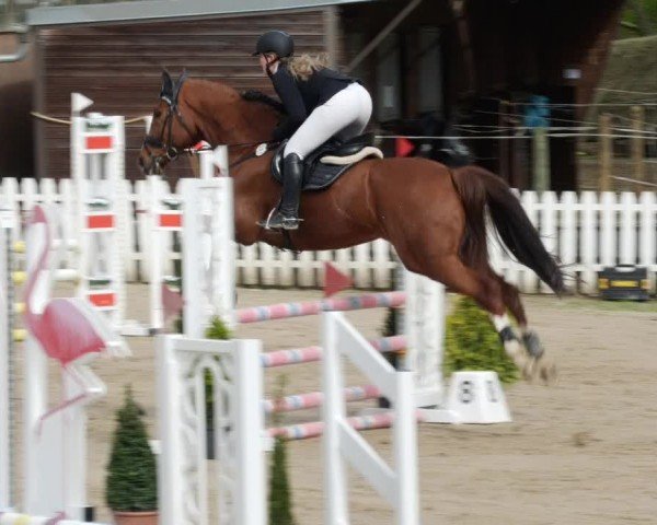 Reitturnier Großostheim/Ufr. 2024