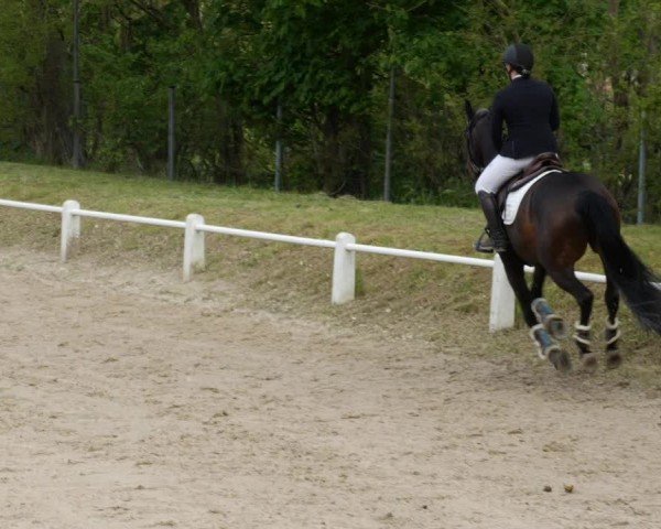 Reitturnier Großostheim/Ufr. 2024
