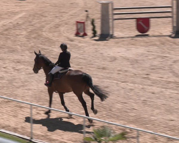 FEI Springturnier Stadl Paura 2024