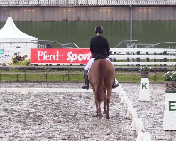 Reitturnier Ladelunder Turniertage 2024
