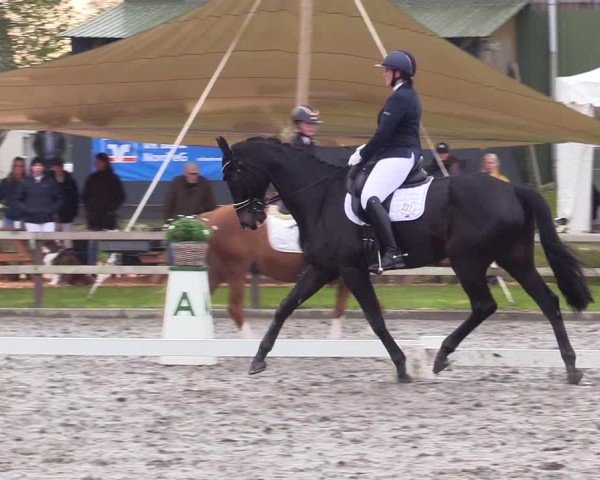 Reitturnier Ladelunder Turniertage 2024