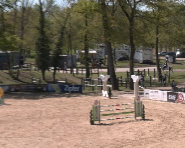 FEI Springturnier Stadl Paura 2024