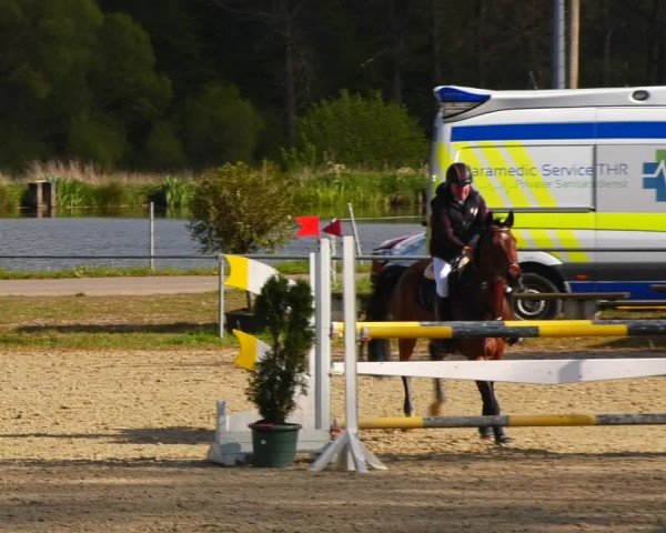 Reitturnier Bad Liebenstein/Sorga 2024