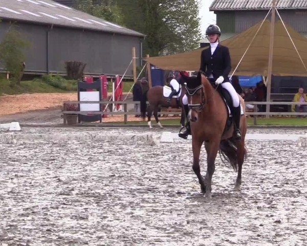 Reitturnier Ladelunder Turniertage 2024