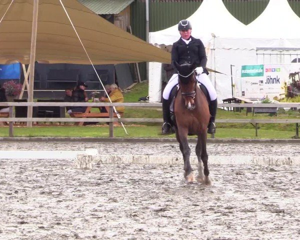 Reitturnier Ladelunder Turniertage 2024