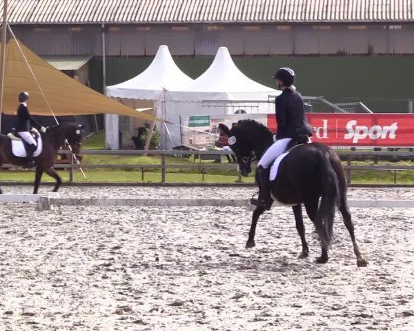 Reitturnier Ladelunder Turniertage 2024