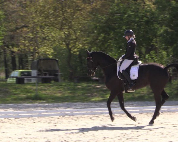 Reitturnier Pietzpuhl 2024