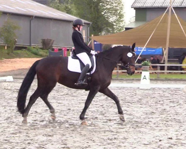 Reitturnier Ladelunder Turniertage 2024