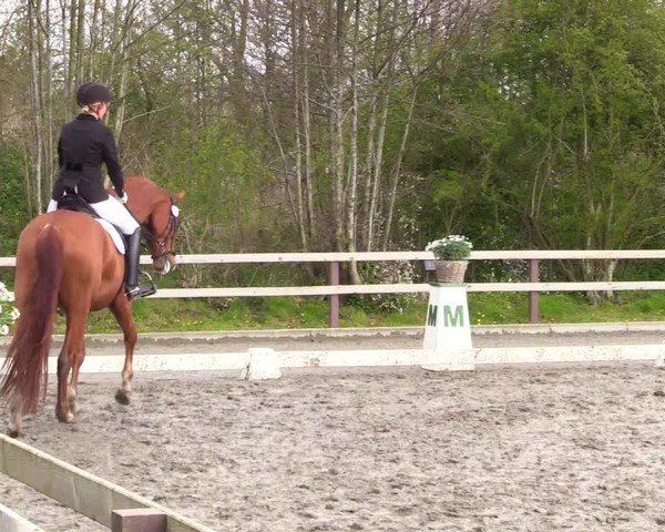 Reitturnier Ladelunder Turniertage 2024