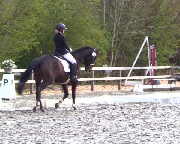 Reitturnier Ladelunder Turniertage 2024