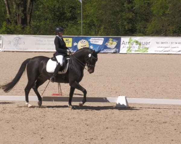 Reitturnier Karlsfeld/Obb. 2024