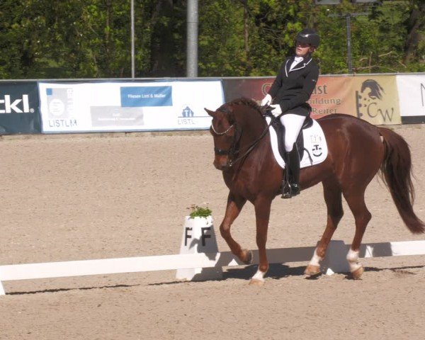 Reitturnier Karlsfeld/Obb. 2024