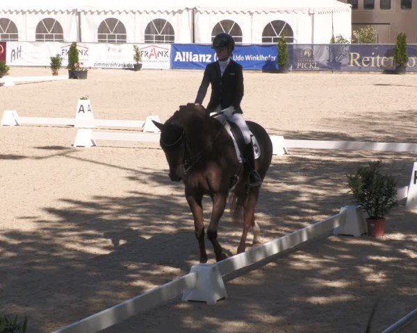 Reitturnier Karlsfeld/Obb. 2024