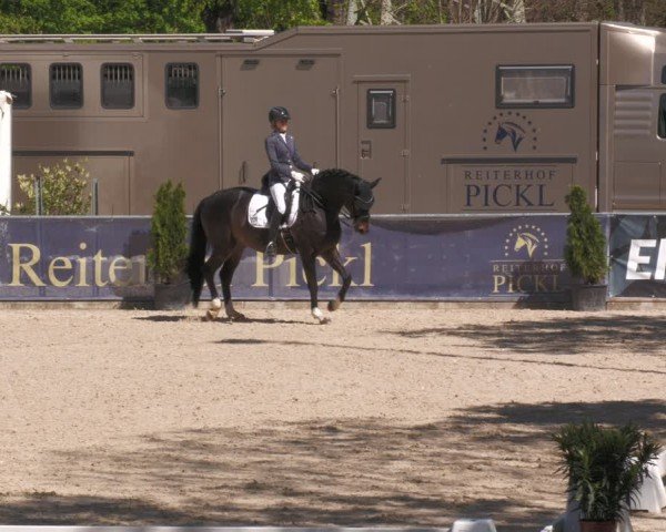 Reitturnier Karlsfeld/Obb. 2024