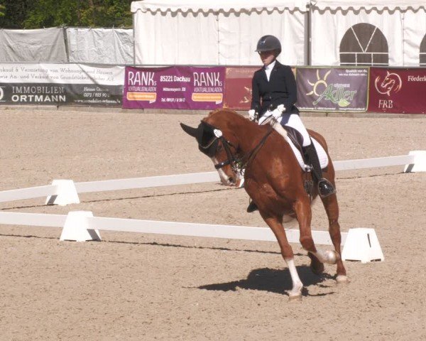 Reitturnier Karlsfeld/Obb. 2024