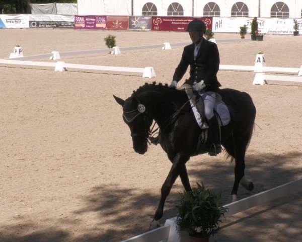 Reitturnier Karlsfeld/Obb. 2024
