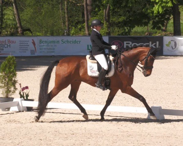 Reitturnier Karlsfeld/Obb. 2024