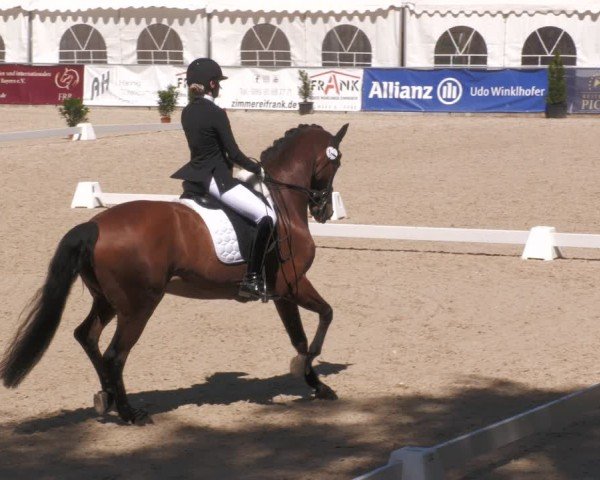 Reitturnier Karlsfeld/Obb. 2024
