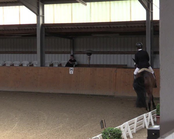 Reitturnier Schlieckau 2024