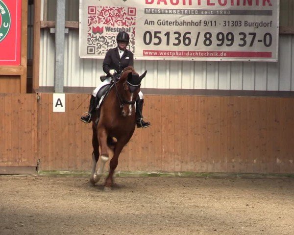 Reitturnier Schlieckau 2024