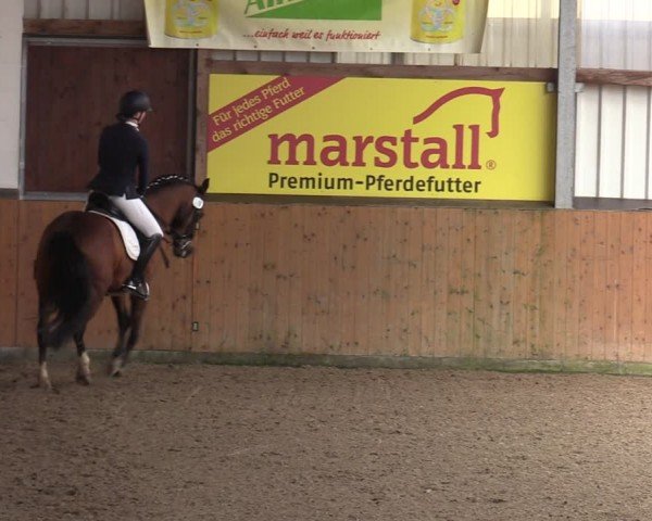Reitturnier Schlieckau 2024